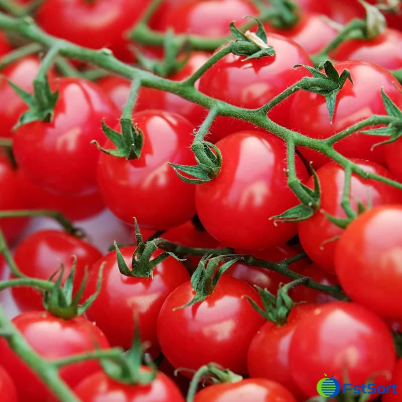 images/1683187228470cherry toamto sorting grading machine.jpg